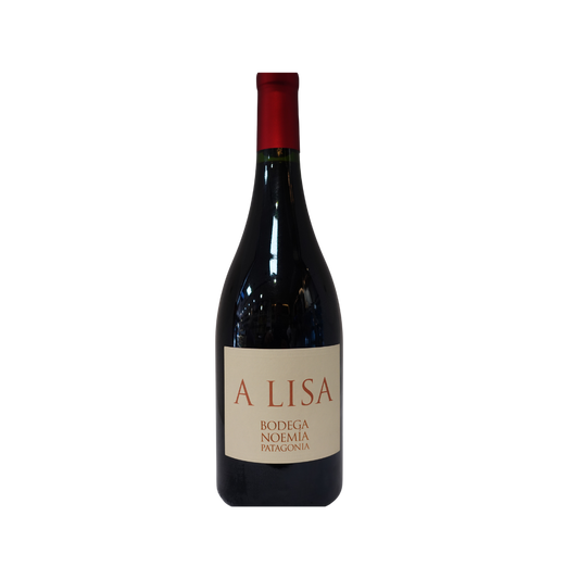 Vino A Lisa Bodega Noemía Patagonia